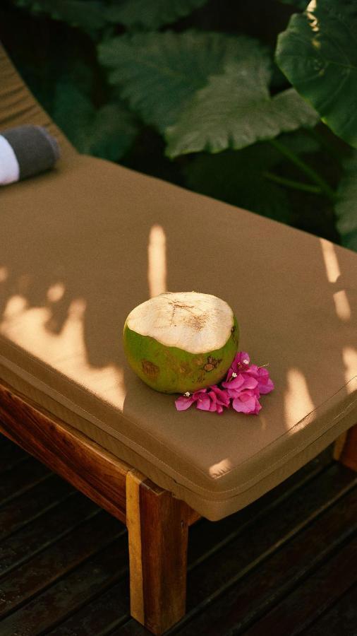 Aldea Paraiso - Adults Only - Boutique Hotel Puerto Escondido  Kültér fotó